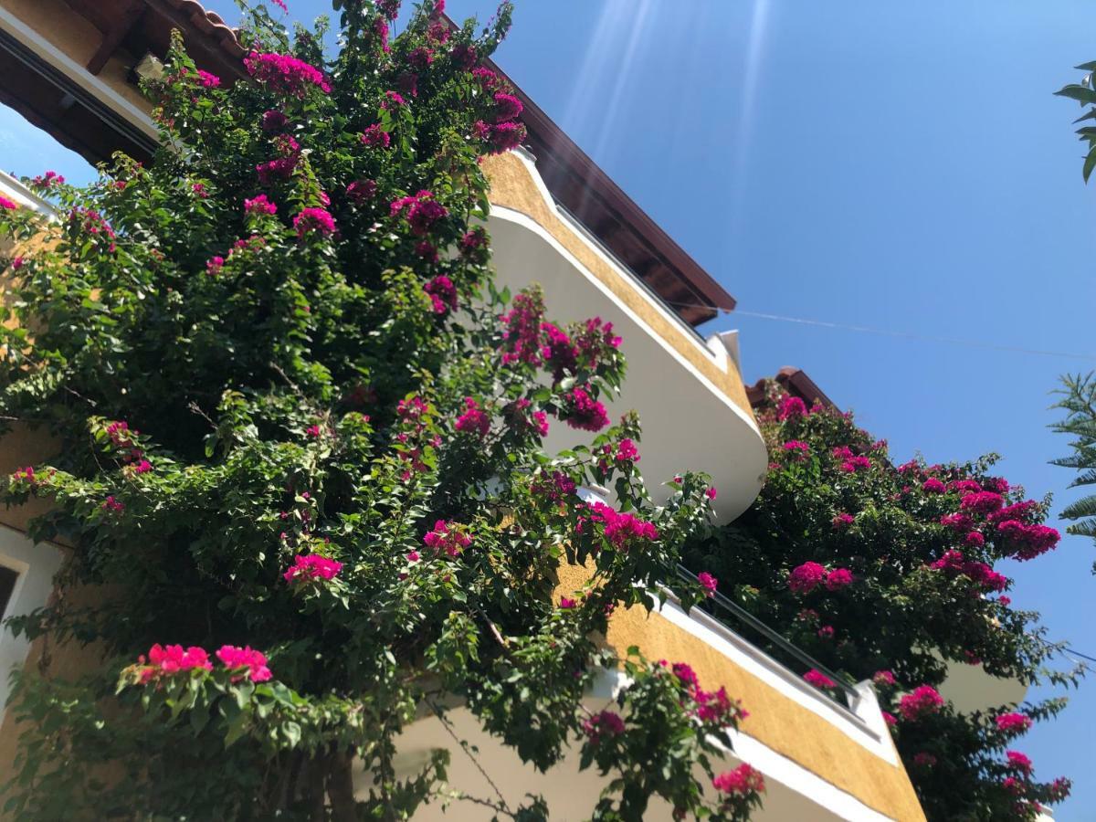 Flower Garden Villa Ksamil Exterior photo